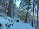 photo thumbnail #14