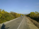 photo thumbnail #2