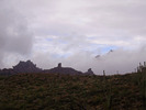 photo thumbnail #15