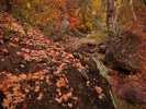 photo thumbnail #3