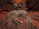 photo thumbnail #7