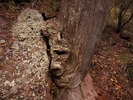 photo thumbnail #11