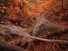 photo thumbnail #15