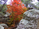 photo thumbnail #6