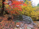 photo thumbnail #8