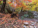 photo thumbnail #10