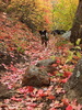 photo thumbnail #13