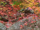 photo thumbnail #14