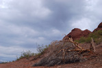 photo thumbnail #4