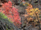 photo thumbnail #4