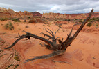 photo thumbnail #3