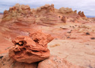 photo thumbnail #8