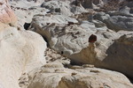 photo thumbnail #7