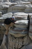 photo thumbnail #9