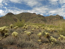 photo thumbnail #3
