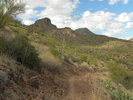 photo thumbnail #7
