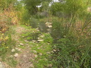 photo thumbnail #8