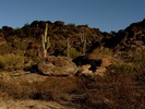 photo thumbnail #10