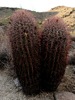 photo thumbnail #14