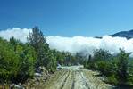 photo thumbnail #8