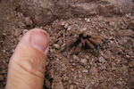 photo thumbnail #1