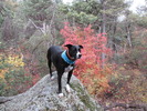photo thumbnail #7