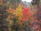 photo thumbnail #10