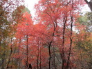 photo thumbnail #11