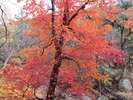 photo thumbnail #15