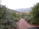 photo thumbnail #14