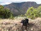 photo thumbnail #11