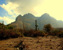 photo thumbnail #3