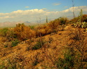 photo thumbnail #4