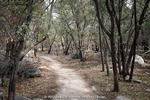 photo thumbnail #3