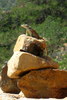 photo thumbnail #11