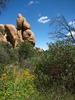photo thumbnail #14