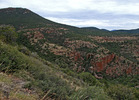 photo thumbnail #7
