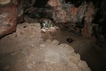 photo thumbnail #11