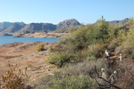 photo thumbnail #1