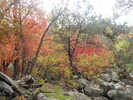 photo thumbnail #4