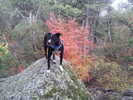 photo thumbnail #7