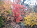 photo thumbnail #9