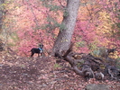photo thumbnail #11