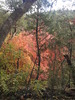 photo thumbnail #12