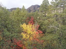 photo thumbnail #15