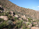 photo thumbnail #5