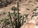 photo thumbnail #11