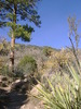 photo thumbnail #1