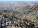 photo thumbnail #9