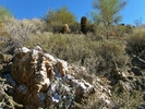 photo thumbnail #3